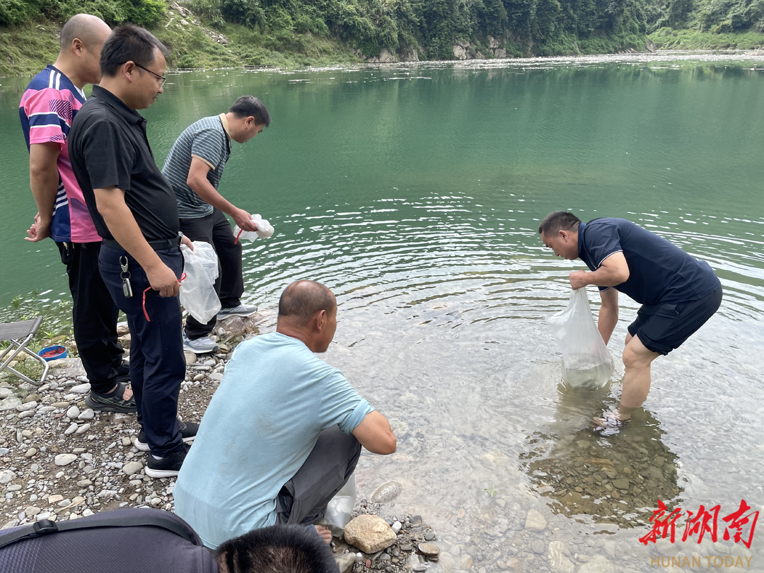 永順：開展增殖放流，改善水域環(huán)境