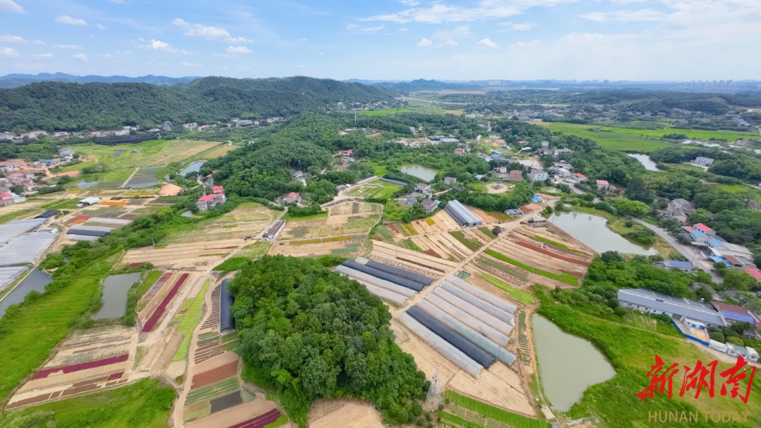 长沙花木走廊走向何方丨湖南日报市州头条