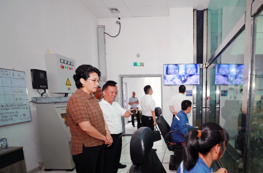 陈华到吉首市宣讲党的二十届三中全会精神调研垃圾回收焚烧发电工作