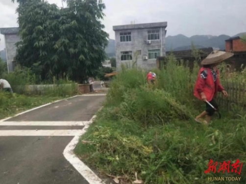 江華大路鋪鎮(zhèn)洞尾村：齊心協(xié)力除雜草  道路煥新保暢通