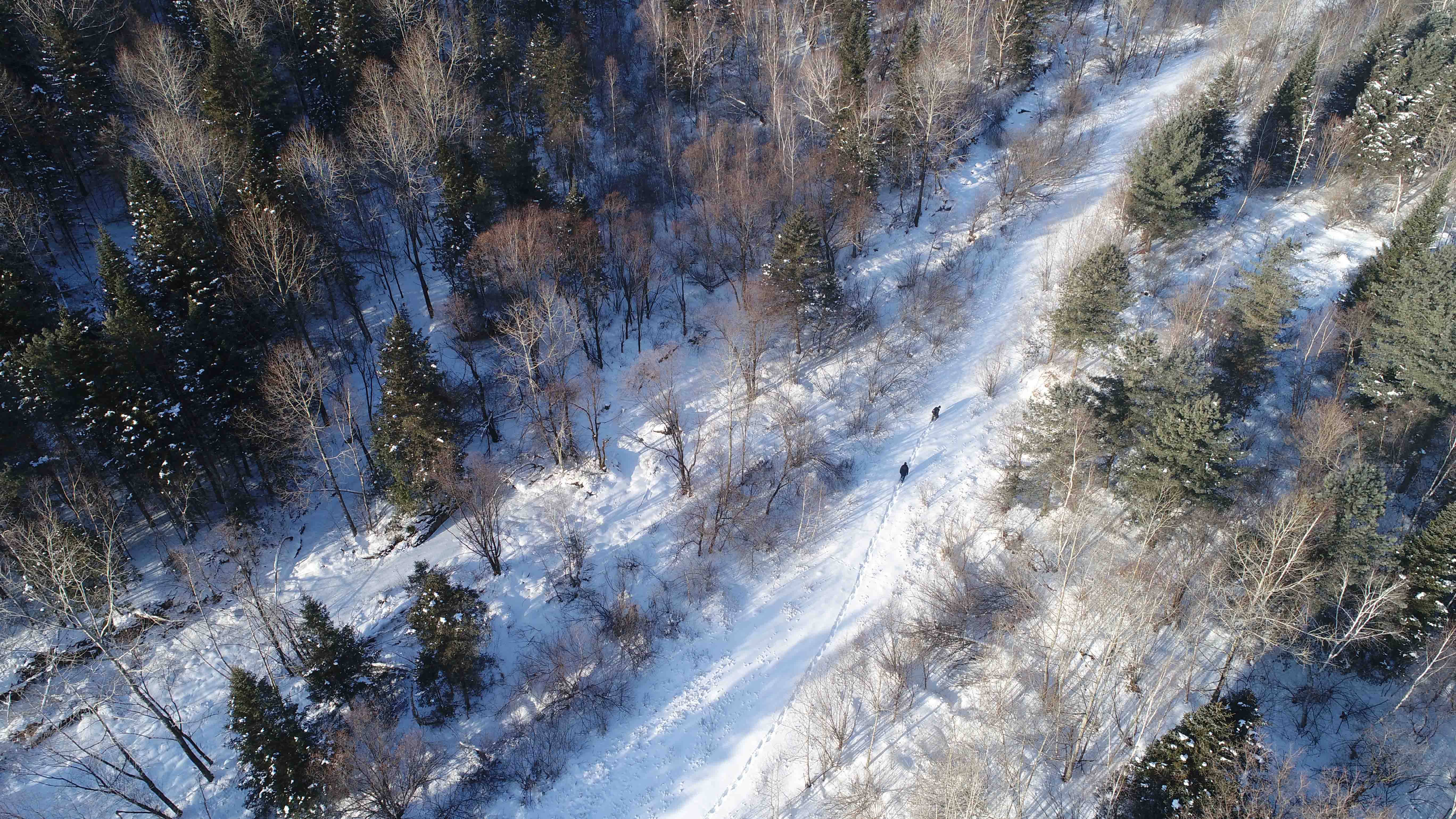 首批國(guó)家公園建設(shè)取得顯著成效