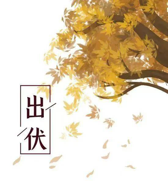 出伏啦！做好養(yǎng)生這幾點，有效防止“秋后算賬”