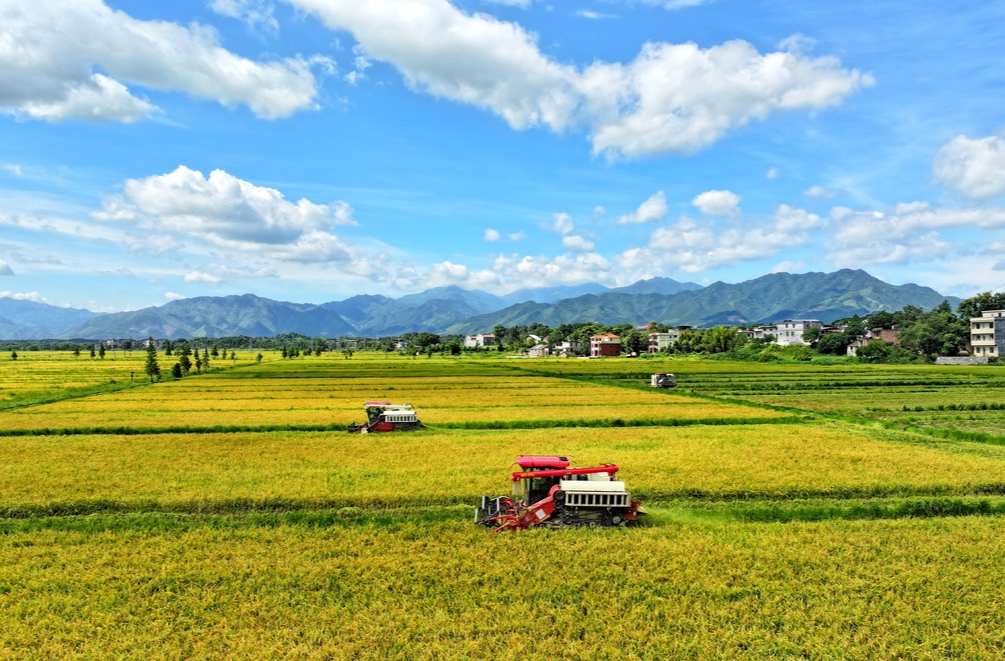 湖南早稻面積、總產(chǎn)量均居全國(guó)首位