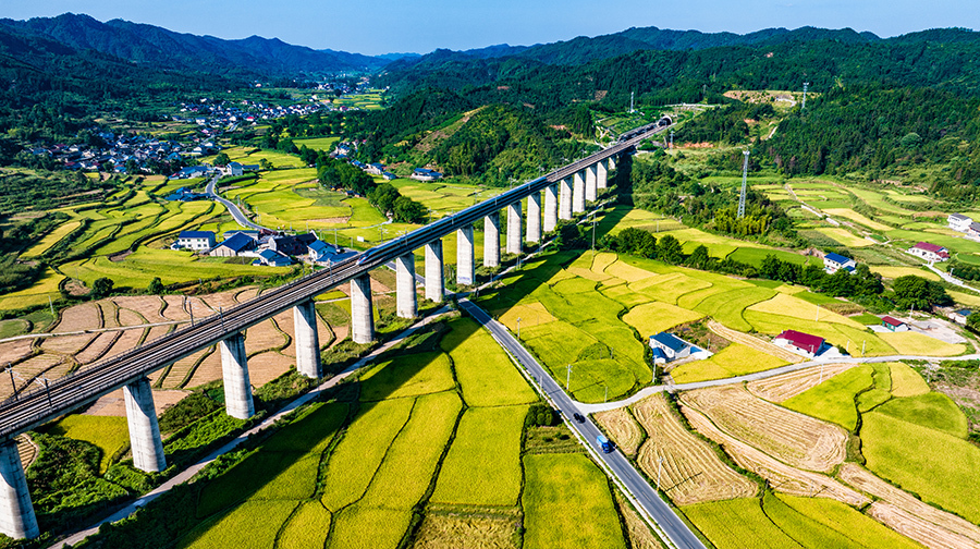 田園鄉(xiāng)韻繪美景