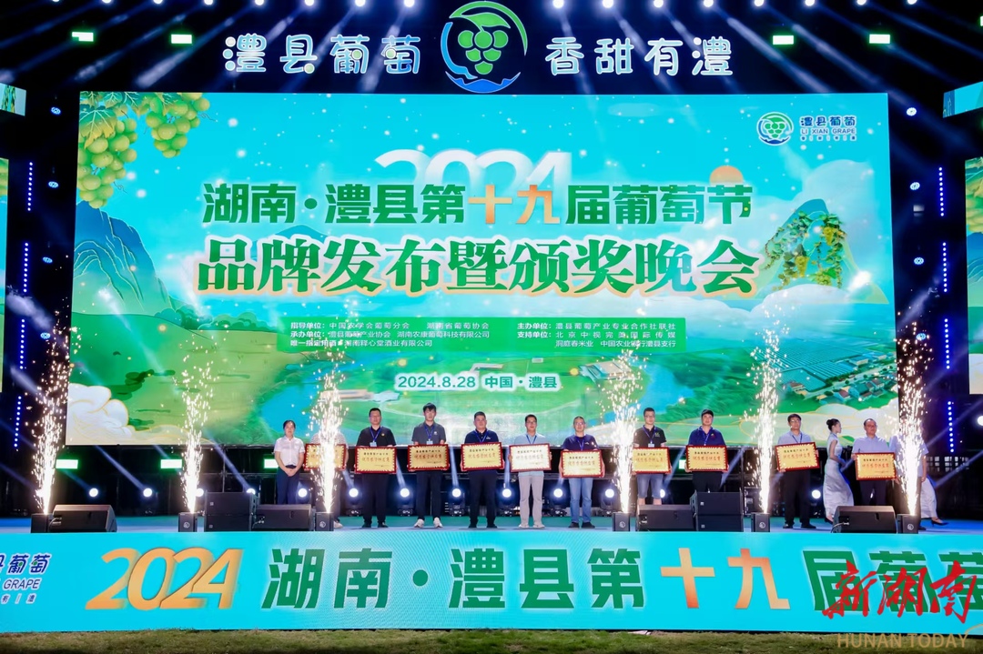 玩一夏㉚|摘果子的时候到了，澧县为葡萄办了一届颁奖晚会