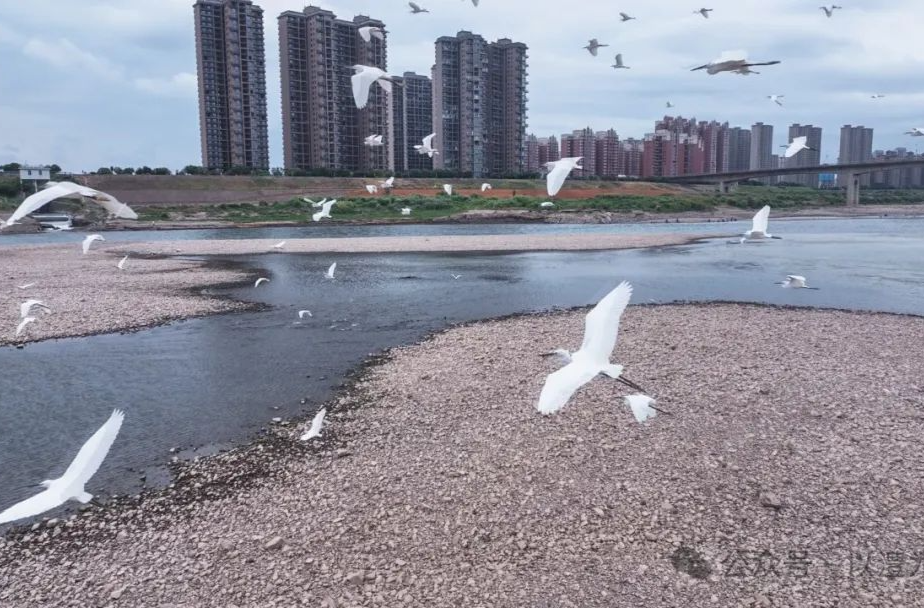 “我的暑假”主题征文：来一场说走就走的旅行吧