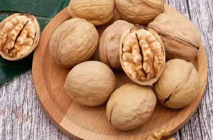 新上市！秋初才有的鲜美果子，错过这个养生食品真的太太遗憾了......