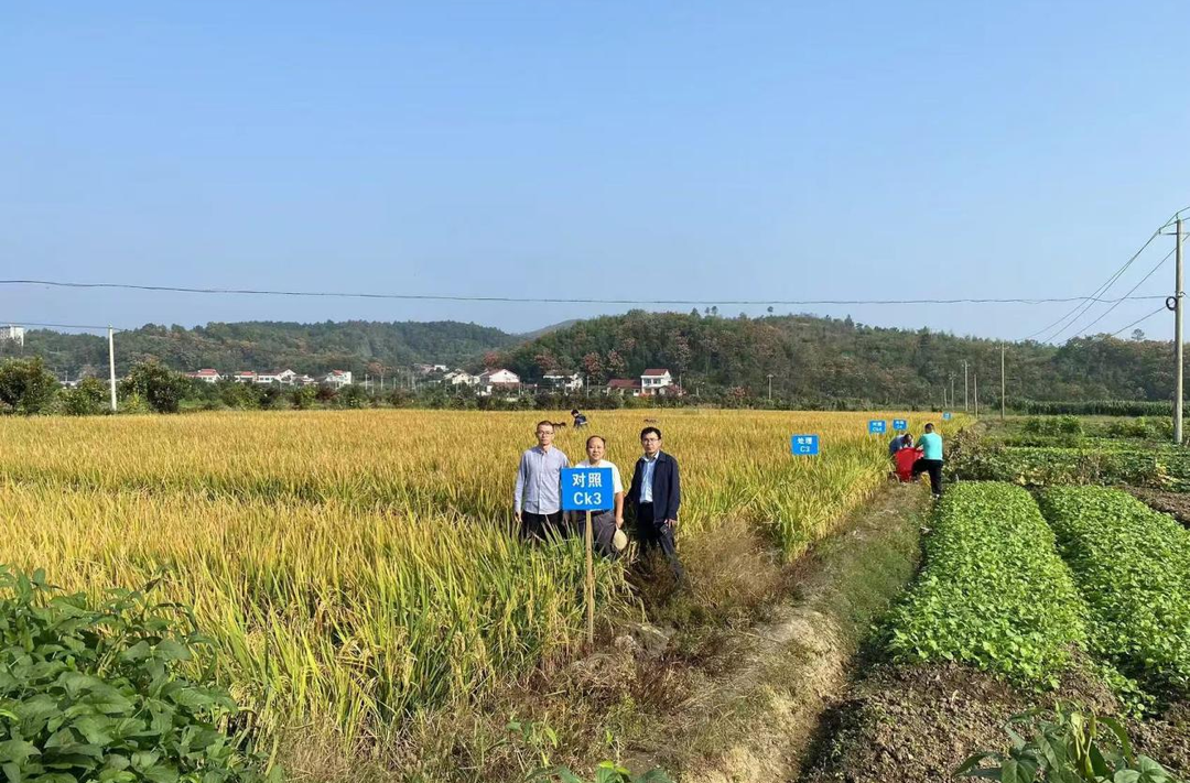 澧县码头铺镇：强化大气污染防治，力促生态绿色发展