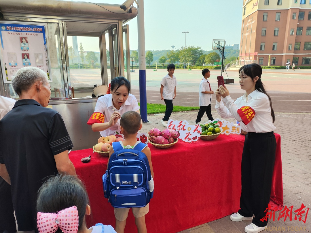 耒阳若兰小学图片