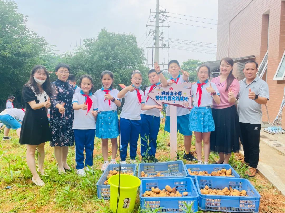 學在雨花·好教師丨張洪波：起航“新生活教育” 奔赴教育的山與海