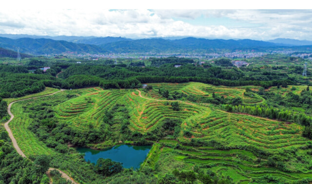 一招盤活綠水青山 溆浦縣積極探索黨建引領(lǐng)林地信托模式