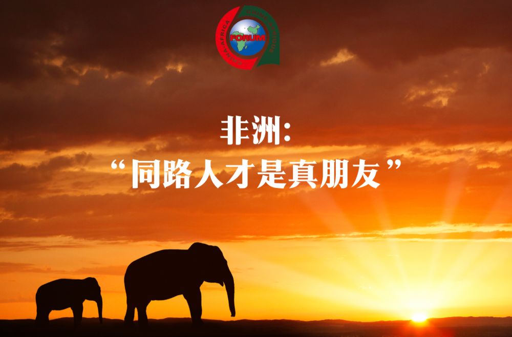 習(xí)近平用典｜中非那些相融相通的諺語(yǔ)典故