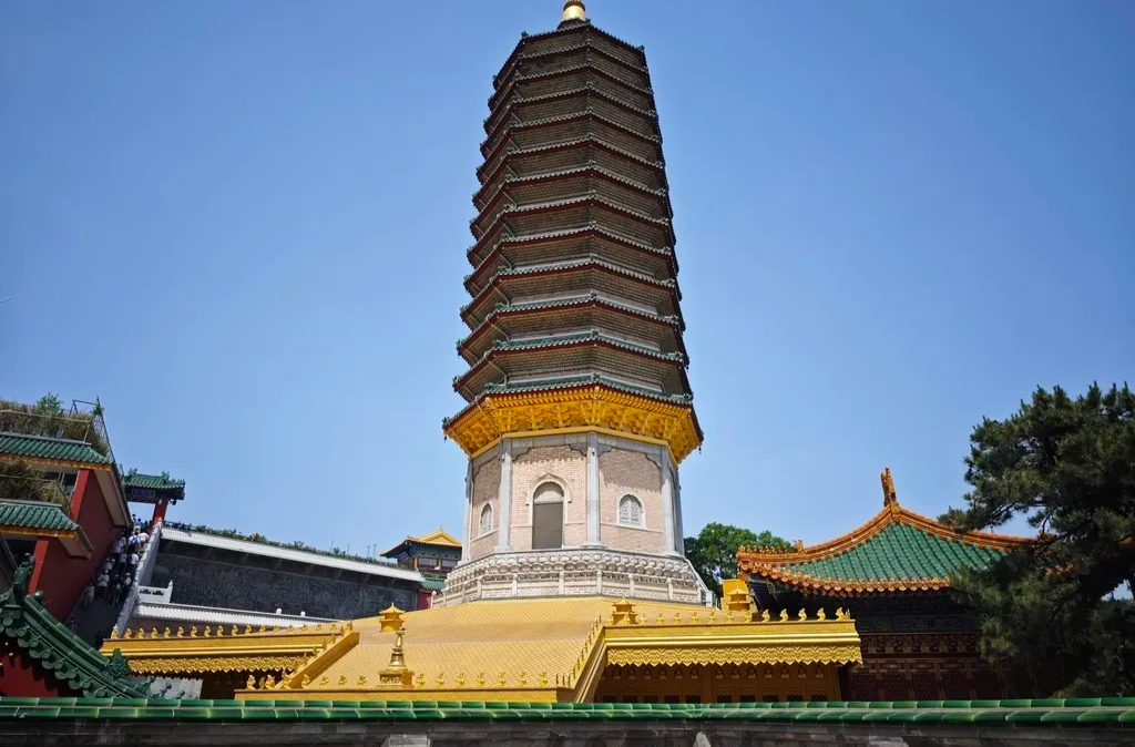 周末去哪？这里的“丛林滑道”太好玩啦！