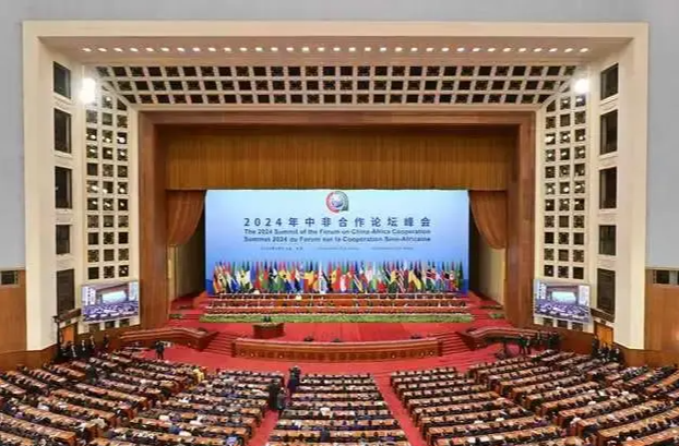 三湘时评丨光辉典范的魅力——中非合作论坛北京峰会系列评（下）