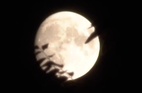 中秋上天“览”月！“赏月航班”选座攻略来了