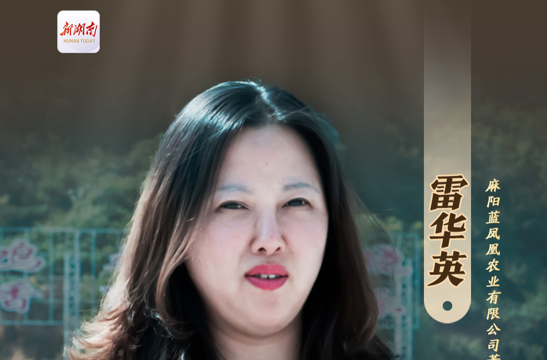 湘商UP!? |雷華英：家鄉(xiāng)飛回“藍(lán)鳳凰”