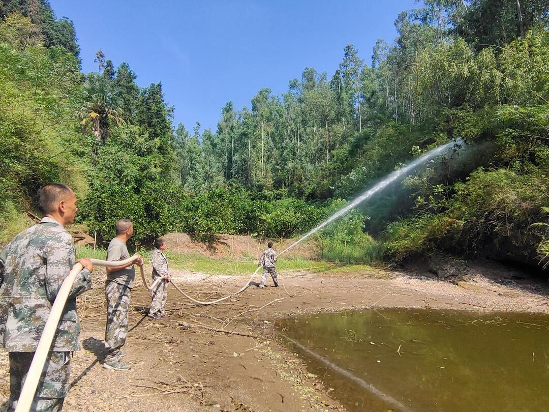 洪江市太平乡:以"演"代"战" 筑牢森林防火"安全墙"