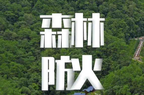 沅江市林業(yè)局召開森林火情早期處置規(guī)范技術培訓會議