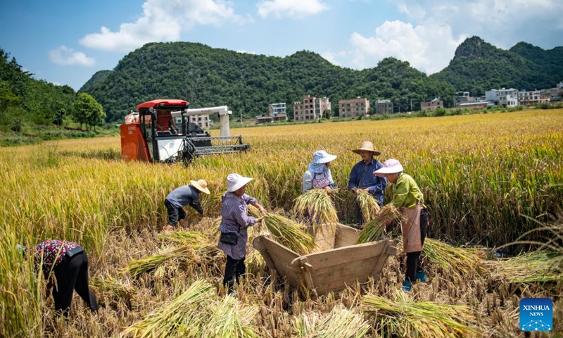 In pics: autumn harvest across China