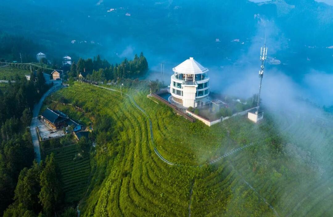 2024湖南茶葉新質(zhì)生產(chǎn)力“十強先行縣(市)”喝健康生態(tài)茶，講好“茶壽之鄉(xiāng)”新化故事