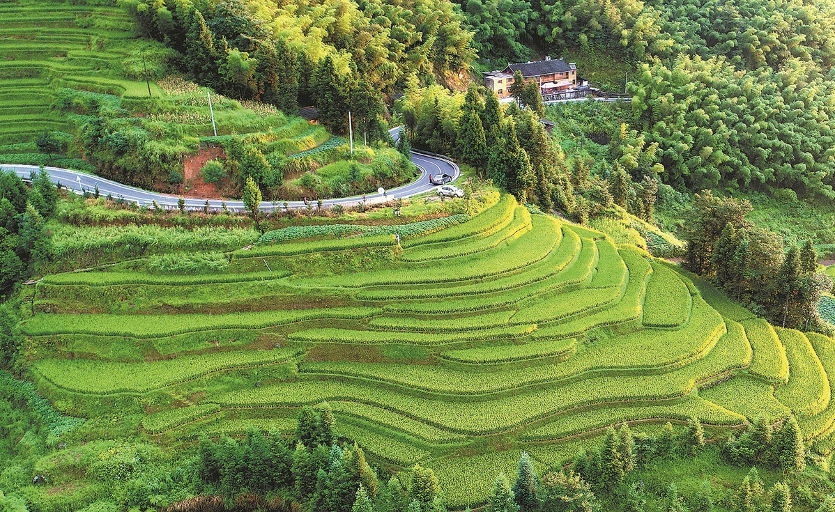 Ziquejie Terraces highlighted in call for global cooperation on agriculture