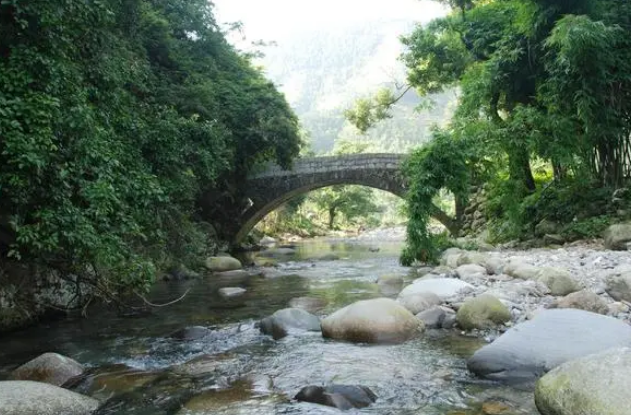 道县多措并举建设生态秀美林场