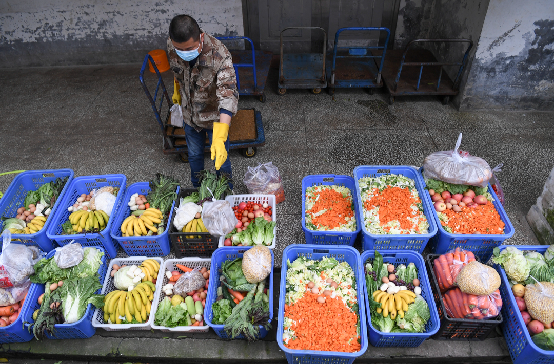 国务院办公厅关于践行大食物观构建多元化食物供给体系的意见