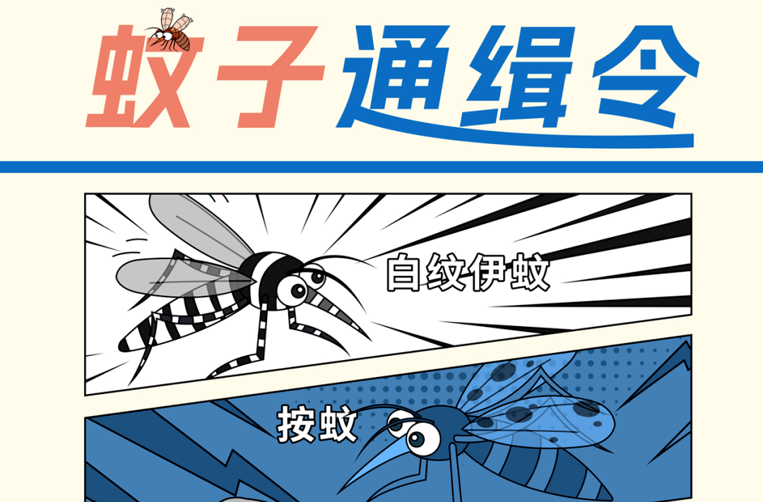 蚊子最大的天敌是什么？教你5个防蚊妙招，很实用