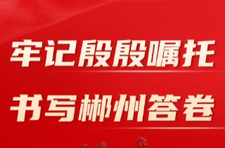 ​牢记殷殷嘱托 书写郴州答卷丨枝叶总关情——郴州市加强基层治理、提升治理效能纪实