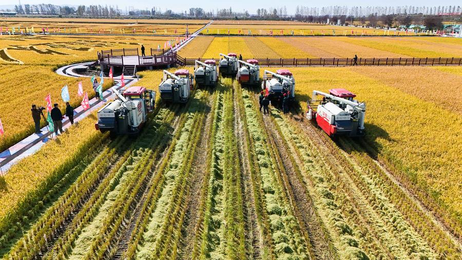 High Tech Propels Bumper Harvests in China's Grain-producing Provinces