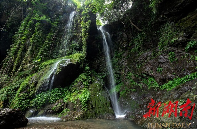 蝶变沩山