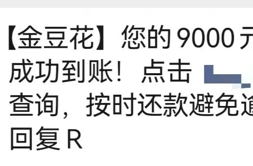 查额度却被强制贷款，收2000需还3000，怎么办？