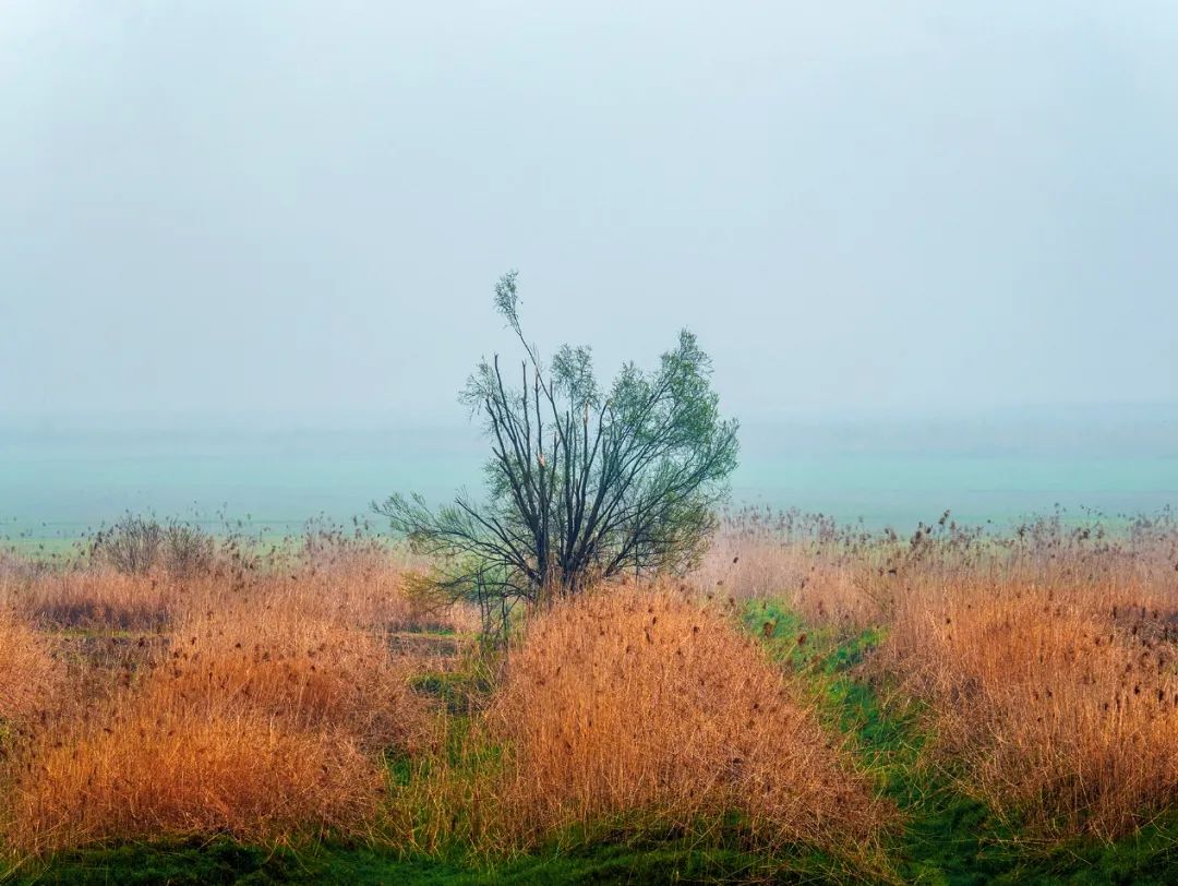 【希少@1280】洞庭湖 洞爺湖温泉】レイクビューTOYA 乃の風リゾート | 登別・洞爺湖・北湯沢