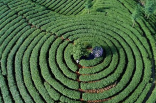 芙蓉國(guó)評(píng)論丨以綠色發(fā)展理念推動(dòng)“雙贏”之路