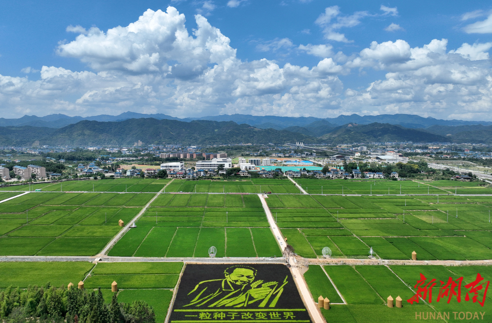 湖南日報 | 打造湖南農(nóng)耕文化旅游名片 看洪江市如何讓“一粒種子”長成“世界稻都”