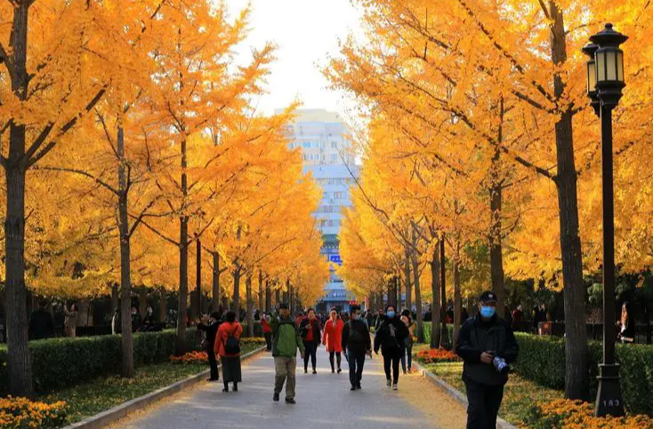 北京首次推出花園城市City Walk線路，包括這十個