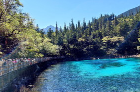 国庆假期多个景区景点门票售罄，国内机票票价同比下降约两成