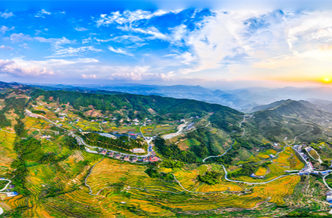 Golden Terraced Fields in Xupu County