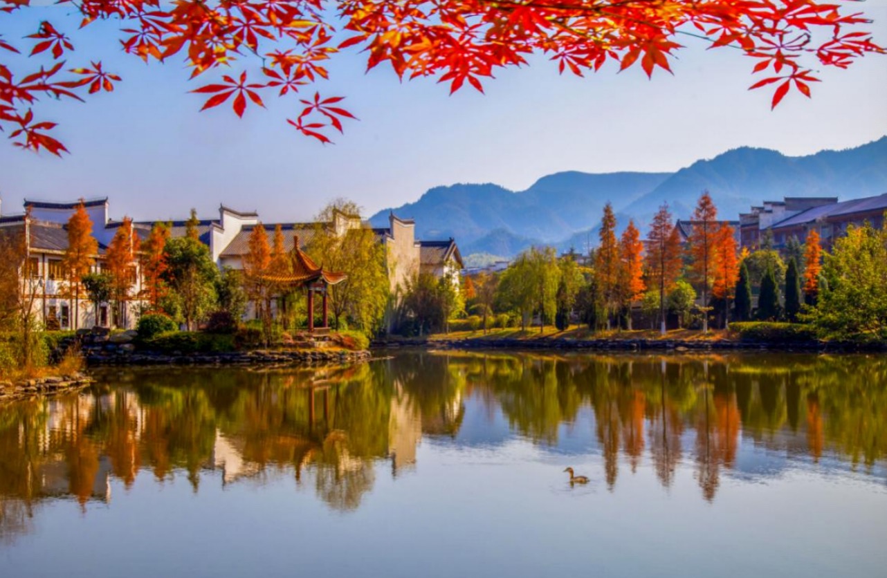 秋景图 色彩饱和度百分之百！湖南10个不可错过的“醉美”秋景