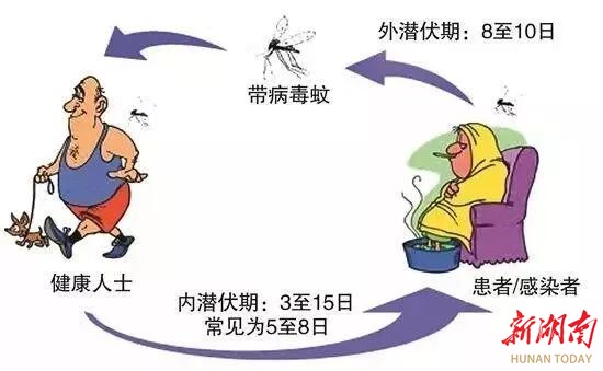 让登革热“乖”，让“十一”假嗨