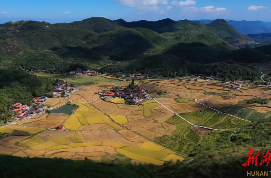 鶴城區(qū)：稻香魚(yú)肥好“豐”景   農(nóng)旅融合助農(nóng)增收