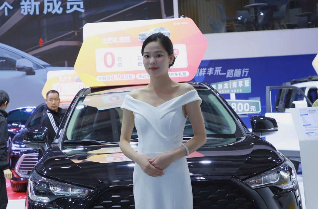 靓丽车模
