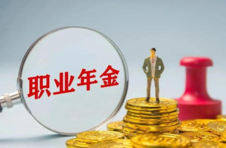 《湖南省职业年金基金管理实施办法》（全文）