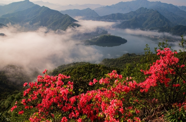 艺评 |  照亮永州大地的一抹红  ——简评长篇小说《探路》