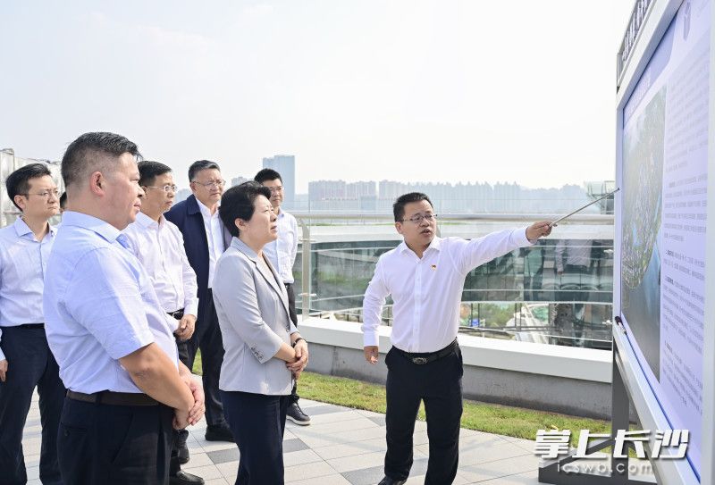 吴桂英专题调研重点片区规划建设工作