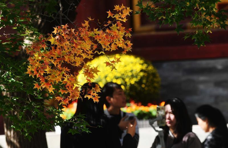 北京香山紅葉節(jié)開幕，首次推出“賞葉地圖”