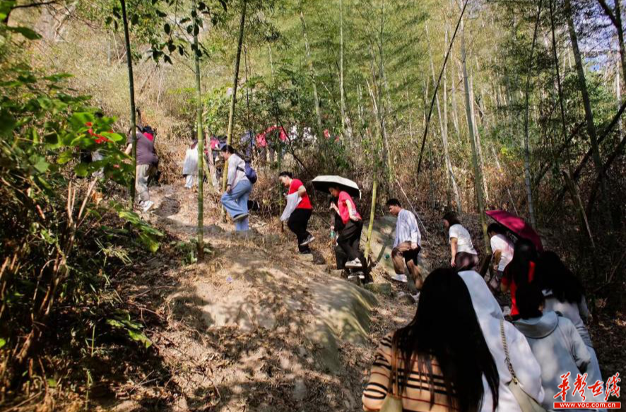 2024岳阳市君山区天井山九九重阳登高节开幕 1000多人迎风攀爬