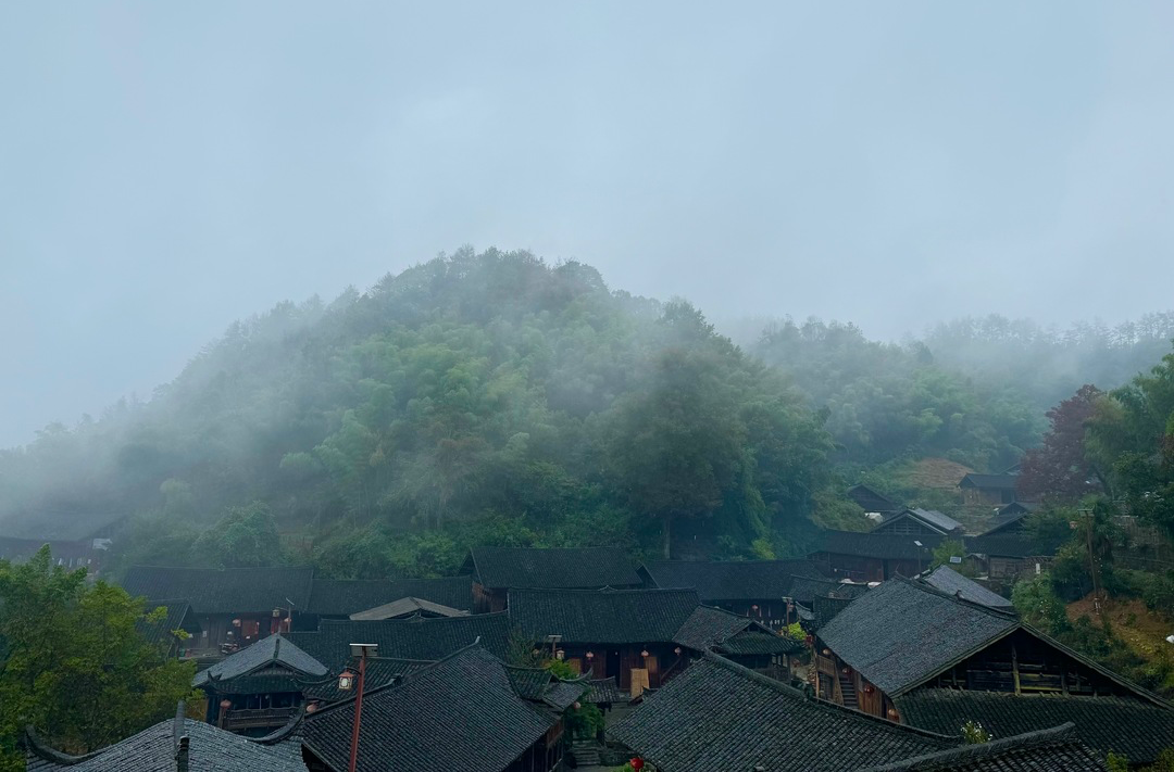 省州媒體走進中國土家第一村——雙鳳村