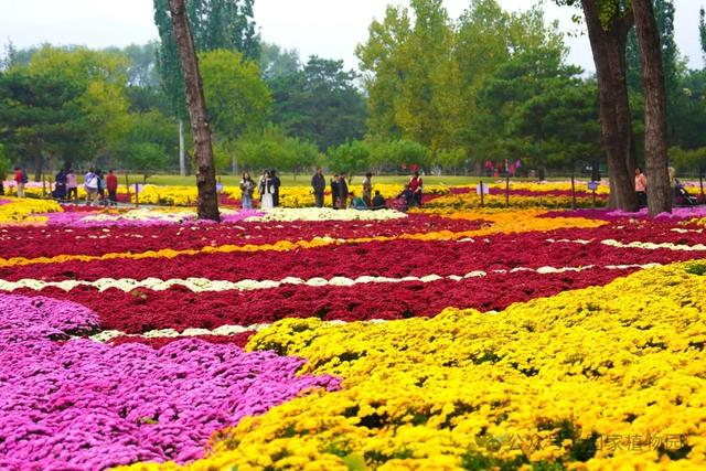 國(guó)家植物園五彩繽紛秋色無邊