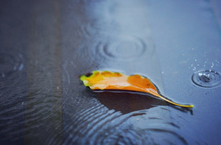 秋雨上线，上海本周天天有雨，冷空气也在路上了